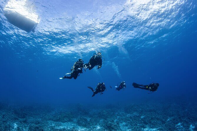 2 Dives in the morning for certified divers in Bora Bora - The scuba boat experience: why the ride feels easier than you’d expect