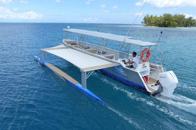 2h Express Adventure by JET SKI in Raiatea - Sacred Island - Vaiaau dolphin watching: how to make the most of the 15-minute window