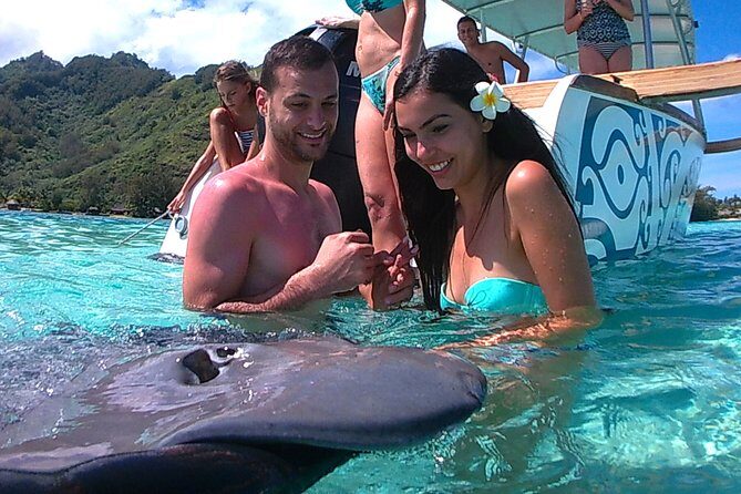 3-hour Lagoon Snorkeling Tour - Shared Tour - Getting On Board: Pickup, Meeting Point, and Shared-Tour Reality