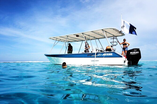 3h dolphin and snorkeling tour in a wild lagoon with Mobydick - Weather, safety, and why the plan can flex