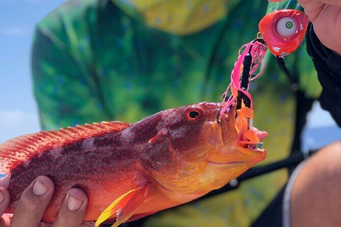 4 Hour Ariki Fishing Activity in Moorea - Four hours on Moorea water: what this trip is really like