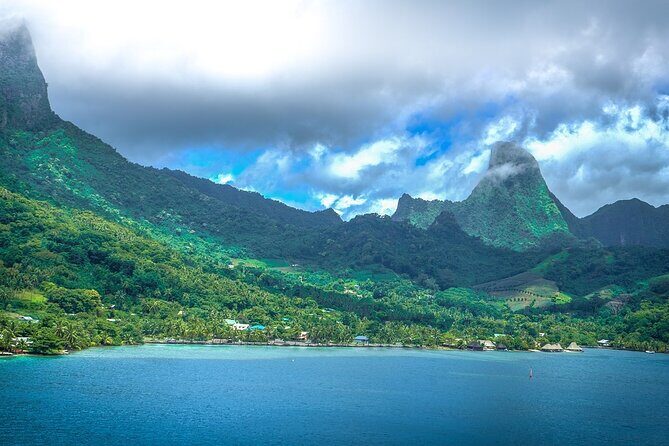 4 Hour Private Humpback Whales Encounter in Moorea - What Happens Before You Touch the Water