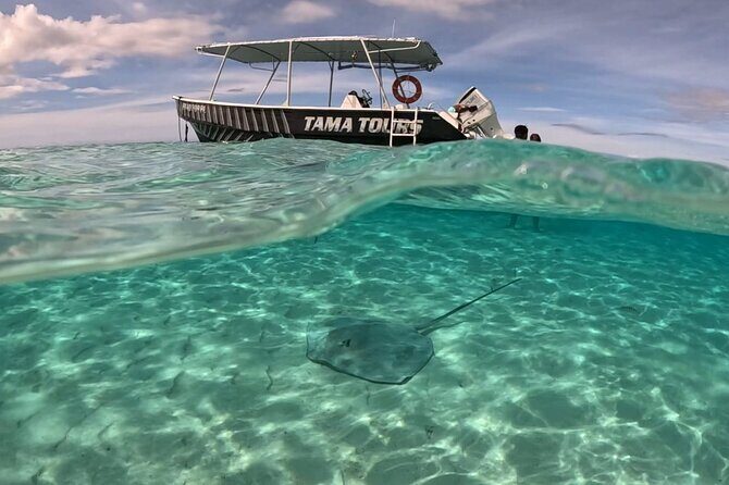 4 Hour Private Humpback Whales Encounter in Moorea - Two Ways to Experience the Encounter: Swim or Watch