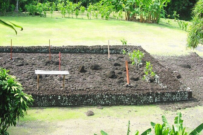5 Hours Tahiti Island Tour - West and East Coast - The Comfortable Van Setup: Pickup, A/C, and a Small Group