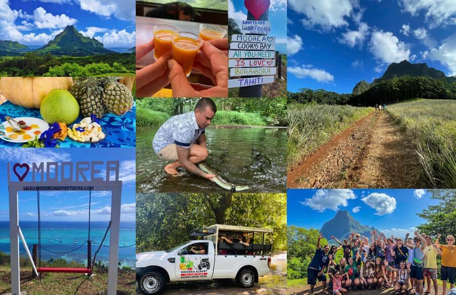 Albert Tours Excursion Safari - Moorea Safari tours&pick up - Key highlights worth marking on your map