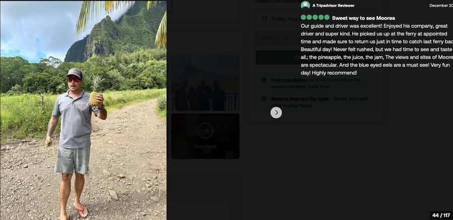 Albert Tours Excursion Safari - Moorea Safari tours&pick up - Booking smart: pickup timing and the quick checklist