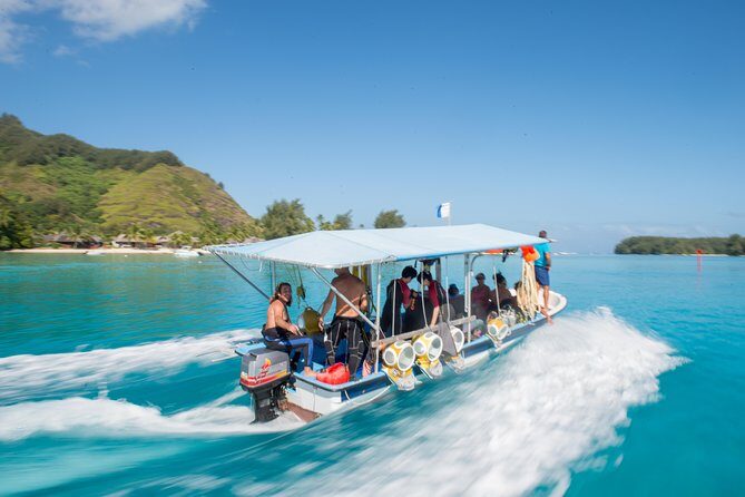Aquablue Moorea - The Lagoon Scene: Multicolored Fish and the Main Character, Stingrays