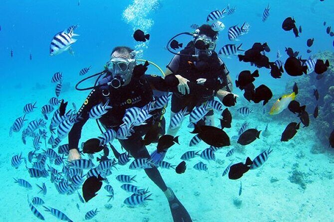 Baptism diving in the turquoise waters of Tahiti - Key highlights if you want the good stuff fast
