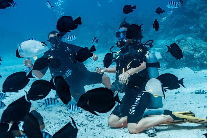 Baptism diving in the turquoise waters of Tahiti - What the 2-hour session actually feels like