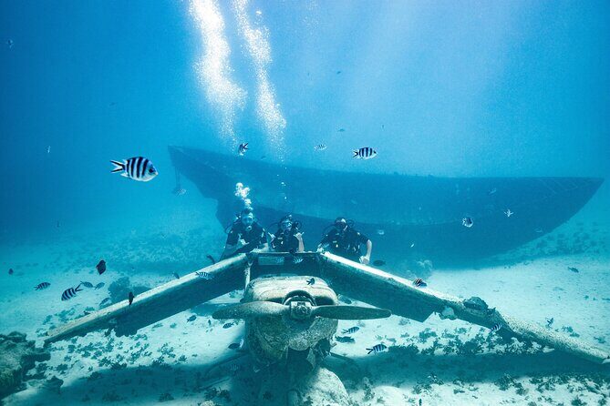 Baptism diving in the turquoise waters of Tahiti - The underwater highlights: fish, color, and learning to breathe