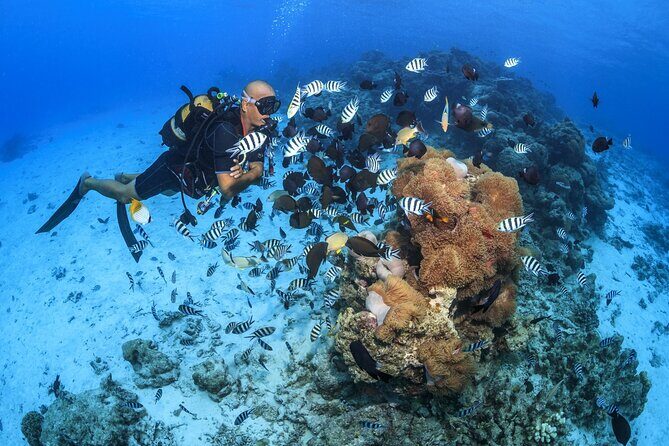 Baptism diving in the turquoise waters of Tahiti - The coaching and safety approach for true first-timers