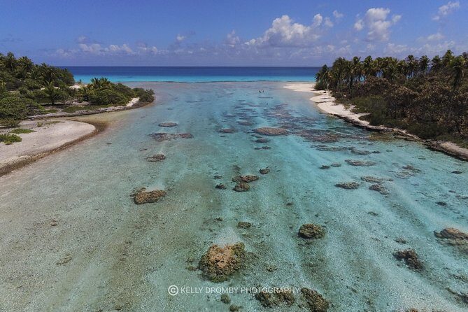Blue Lagoon - PRIVATE ISLAND Pink sand beach and wildlife reserve - Wildlife Ethics and Wildlife Behavior: What to Watch For