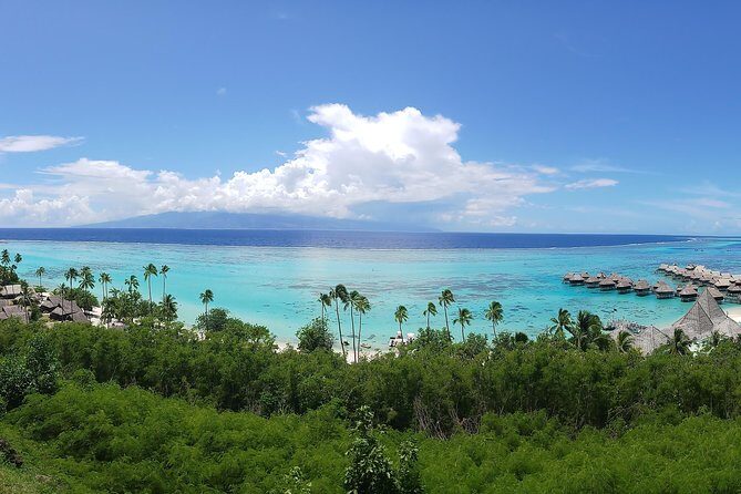 Blue Pearl Private Tour - Key things to know before you go