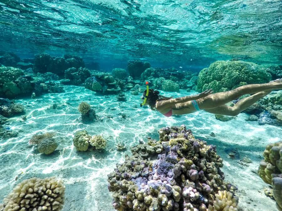 Bora Bora: 3.5-Hour Lagoon Boat Tour with Snorkeling - Key things I’d prioritize before you go