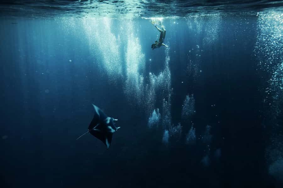Bora Bora: 3.5-Hour Lagoon Boat Tour with Snorkeling - Manta Rays Feeding Ground: The Best Chance at a True Wow