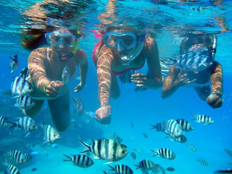 Bora Bora: 3.5-Hour Lagoon Boat Tour with Snorkeling - Coral Gardens Snorkeling: Where the Lagoon Turns Into a Living Gallery