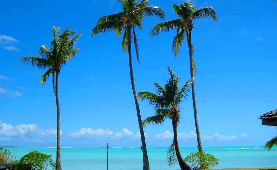 Bora Bora: 4x4 Safari with Snorkelling Combo Tour - River boat transfer: a short break that changes the pace