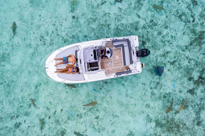Bora Bora adventure Private Combo Jet Ski and Eco Sharks Snorkel - Key highlights you’ll care about