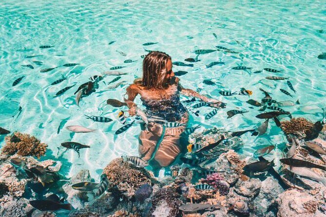 Bora Bora adventure Private Combo Jet Ski and Eco Sharks Snorkel - Morning Jet Ski: Encircling the Island in Guided Lagoon Water