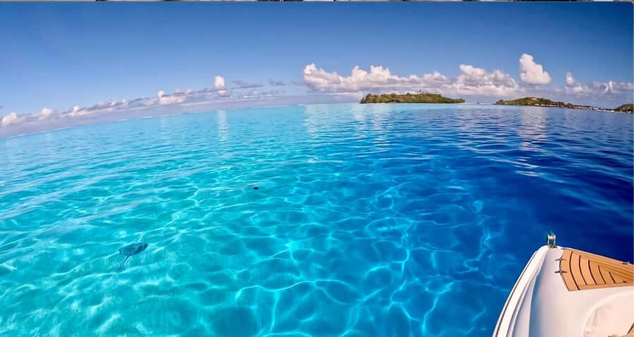 Bora Bora: Blue Lagoon Cruise, Snorkeling and Lunch . - Price and Value: What $234 Covers (and What It Doesn’t)