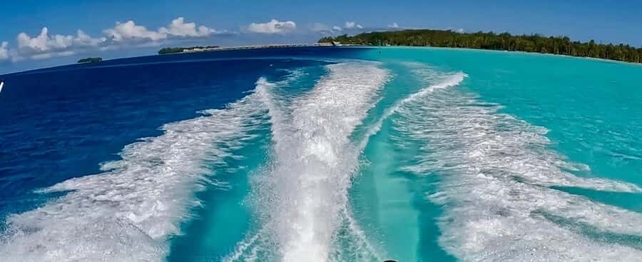 Bora Bora: Blue Lagoon Cruise, Snorkeling and Lunch . - Sharks, Rays, and Coral Gardens: How the Snorkeling Actually Works