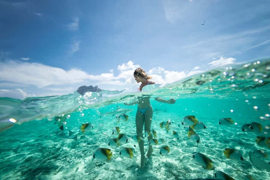Bora Bora: Eco Shark and Snorkeling Safari - Key things that make this safari worth your time