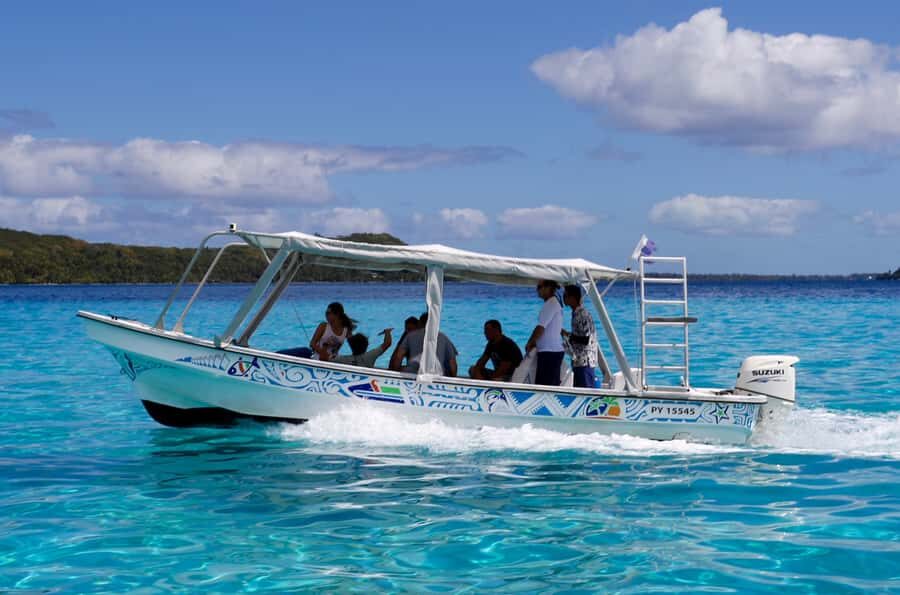 Bora Bora: Eco Shark and Snorkeling Safari - Price and value: what $112 gets you in Bora Bora