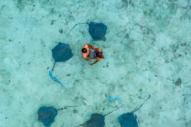 Bora Bora Eco Snorkel Cruise Including Snorkeling with Sharks and Stingrays - Entering the Lagoon: Shallow-Water Sharks and Stingrays