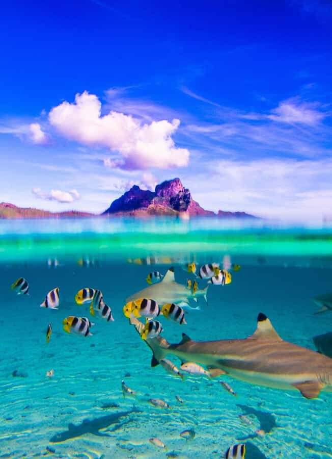 Bora Bora: Full-Day Lagoon Snorkelling Tour - The 7-hour rhythm: sights, water time, then lunch on the motu