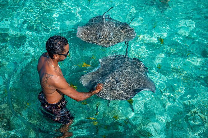 Bora Bora Half Day Snorkeling - Coral Gardens: The Stop That Sets the Tone