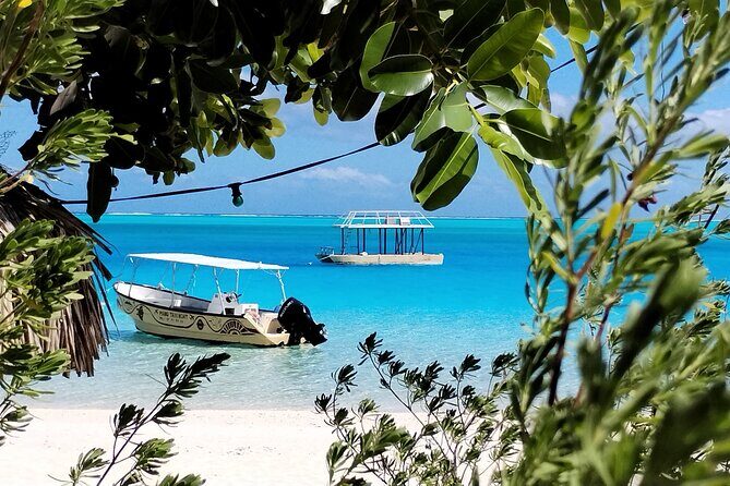 Bora Bora Half Day Snorkeling - Manta Rays and Other Sea Life Stops