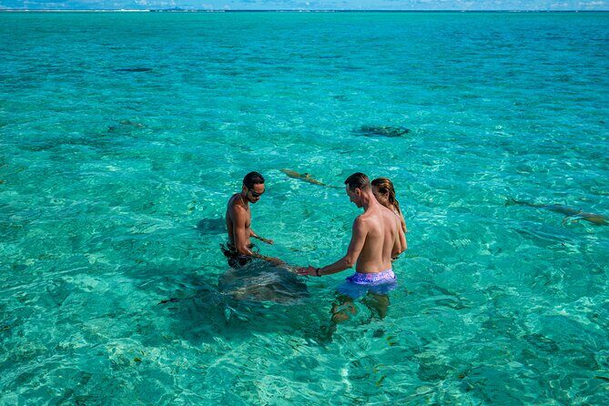 Bora Bora Half Day Snorkeling - Who Should Book This Tour (and Who Might Skip It)