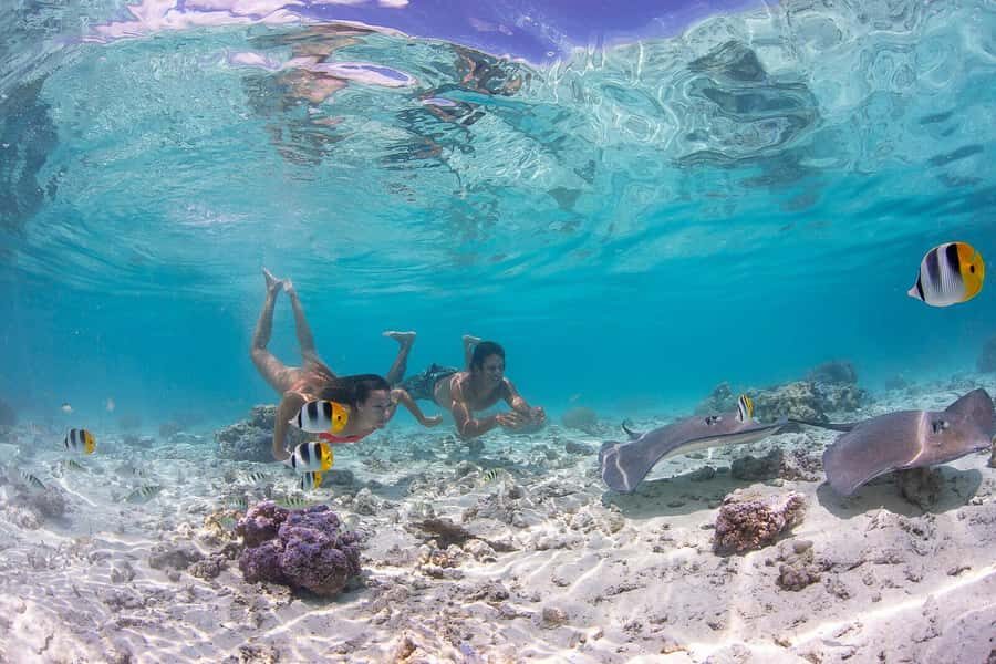 Bora Bora: Jet Ski, Lunch & Shark/ Ray Safari - Jet ski day: getting the best views fast
