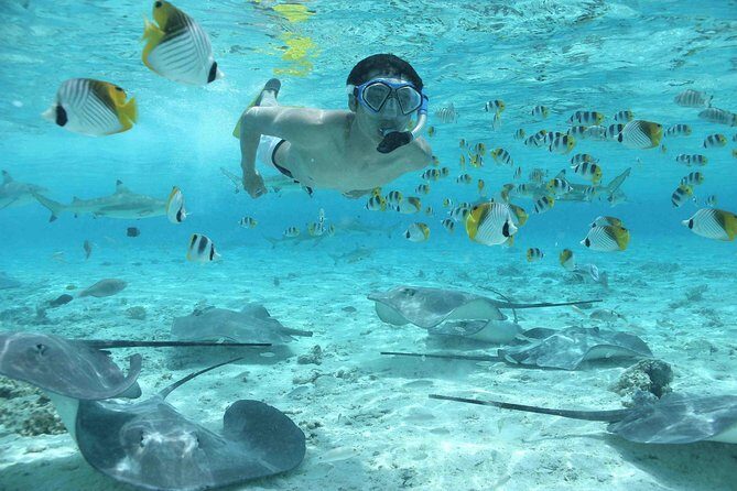 Bora Bora Jet Ski Tour, & Eco Shark / Ray Snorkel Cruise - Weather, Wind, and Choppy Water: The Real Factor That Changes Your Day