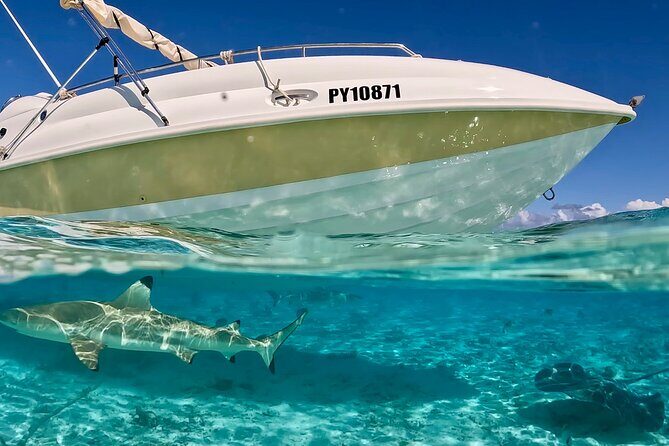 Bora Bora Jet Ski Tour, & Eco Shark / Ray Snorkel Cruise - Value Check: Is This $323.28 Per Person a Good Use of Your Time?