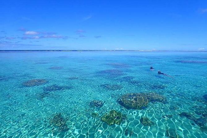 Bora Bora: Luxury Private Half Day Snorkeling Tour - A Four Winns 220 day in Bora Bora’s lagoon