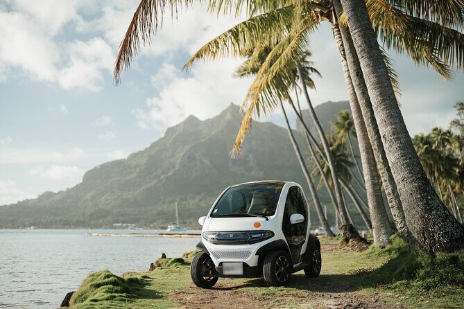 Bora Bora Private Departure Hotels to Airport Transfer - Airport arrival: luggage to the boarding area