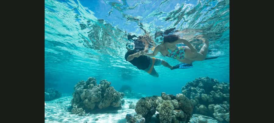 Bora Bora: Snorkeling and Fishing Tour with Lunch Option - Key things I’d zero in on