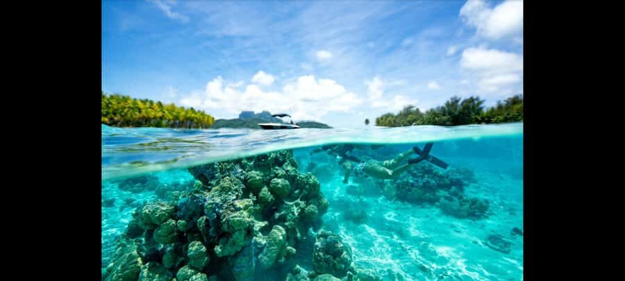 Bora Bora: Snorkeling and Fishing Tour with Lunch Option - The Snorkeling Circuit: Rays, Sharks, and Coral Areas for About 3 Hours