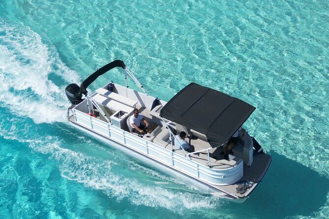 Bora Bora Whale Watching - Snorkeling with humpbacks: included gear, real-world limits