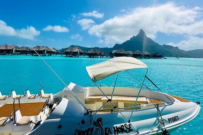 Crazy sea horse Bora Bora Comfortable boat, snorkeling and lunch - The Crazy Sea Horse Bora Bora vibe: speed, smiles, and a real lagoon mission