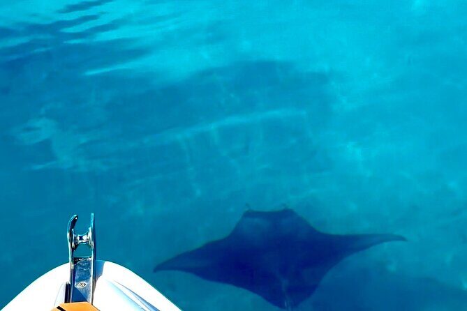 Crazy sea horse Bora Bora Comfortable boat, snorkeling and lunch - The jet boat ride: what “more sensation” translates to