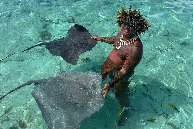 Crazy sea horse Bora Bora Comfortable boat, snorkeling and lunch - Group size, guides, and the personal touch (Mo and Tu)