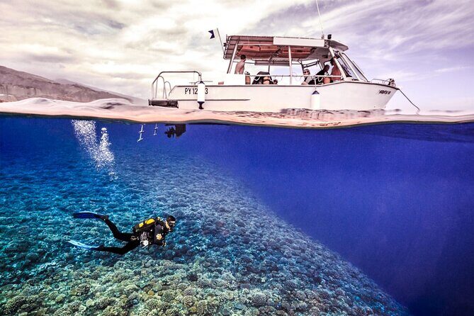 Double Diving Adventure Exploration for Certified Divers - Key takeaways before you go