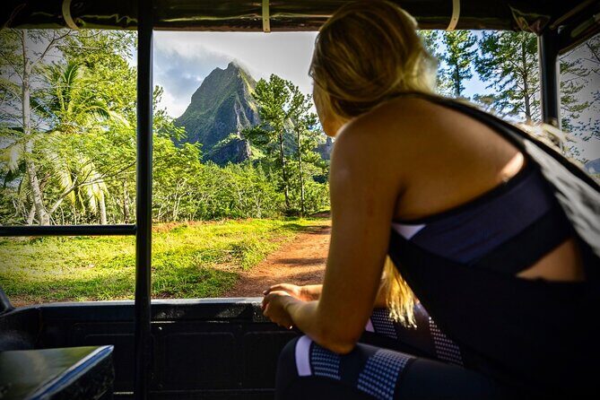 Enjoy Moorea Private day tour - 8:00 am Pickup and Your Private Pace on Moorea