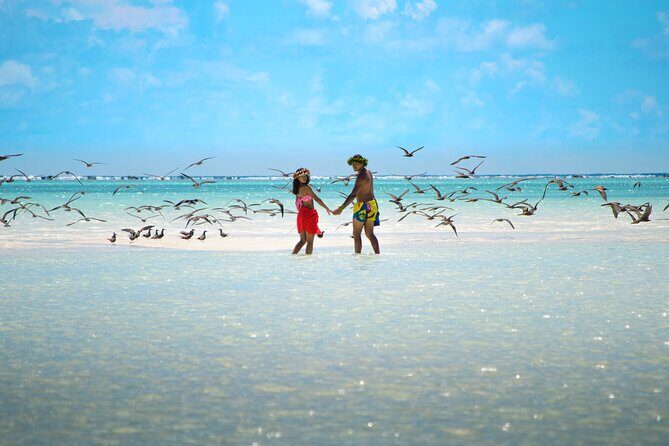 Excursion to Tetiaroa by Catamaran Visit Lunch Snorkeling - Lunch on Board: Coconut Fish, Rice, and Tuna