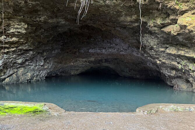 Explore Tahiti in depth in a day - Twin Waterfalls: a quick forest walk and a cool-water option