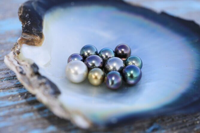 Explore the Vanilla Island Full-Day Tour to Taha’a from Bora Bora - Ia Ora Na Pearl Farm: learning Tahitian black pearls without the hard sell