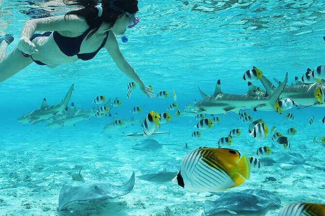Full Day Combo Bora Bora ATV Tour & Motu Pass with Buffet - The guide factor: when information actually helps