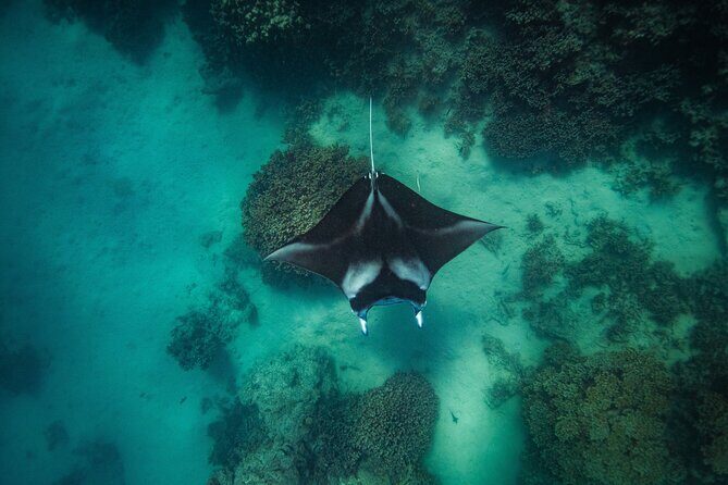 Full Day Eco Snorkeling & Traditional BBQ Lunch on a Motu - Entering Bora Bora Lagoon: What the Morning Feels Like